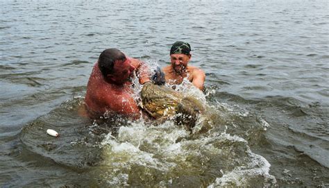 noodling definition catfish|The Complete Guide to Noodling Catfish .